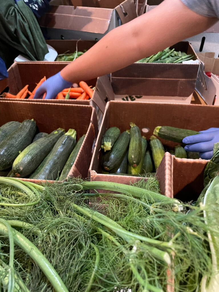 Gloved hands reach into box of carrots on table with variety of other fresh produce.